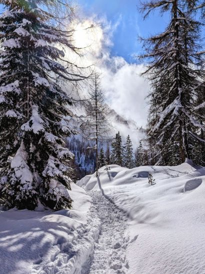 Dolomitas RQ (10)