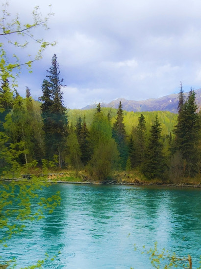 alaska rio bosque