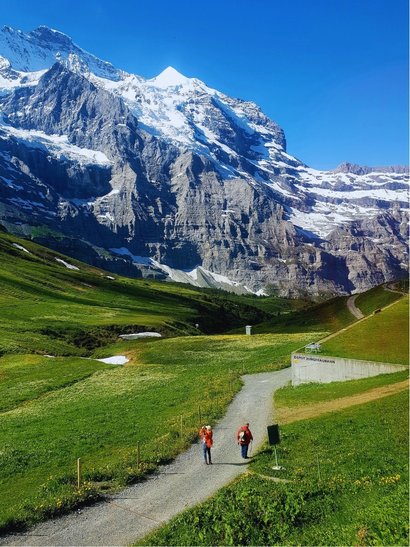 alpes suizos ruta