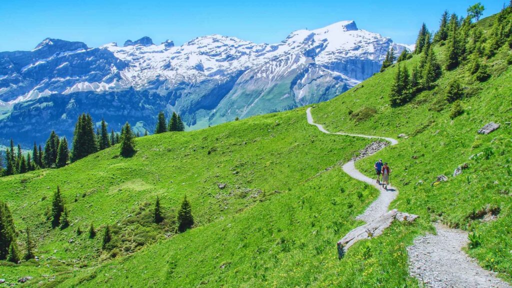 alpes suizos trekking