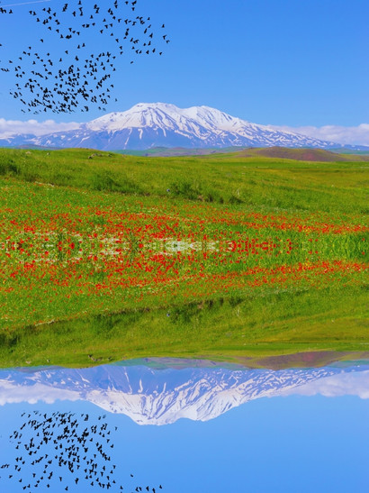 ararat monte lago reflejo