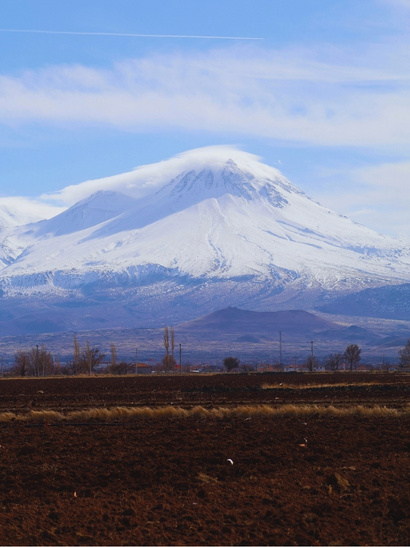 ararat monte