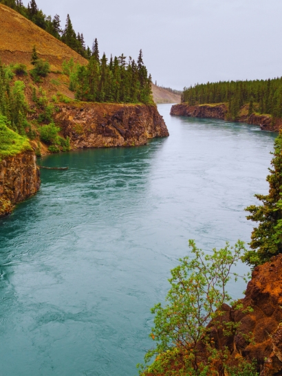 yukon rio arboles